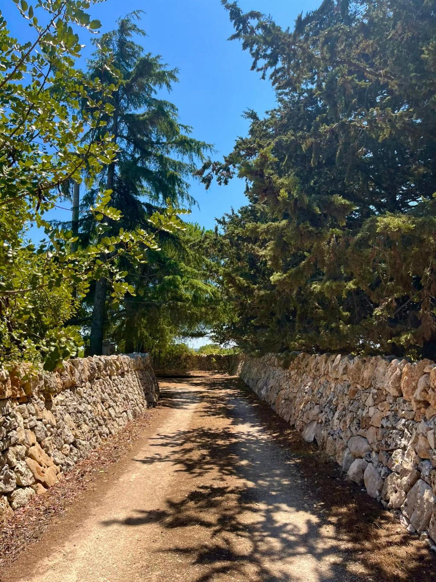 I Trulli Della Naturabio Martina Franca Exterior foto